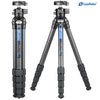 Leofoto LS-285C+LH36R Professional Carbon Tripod with Head